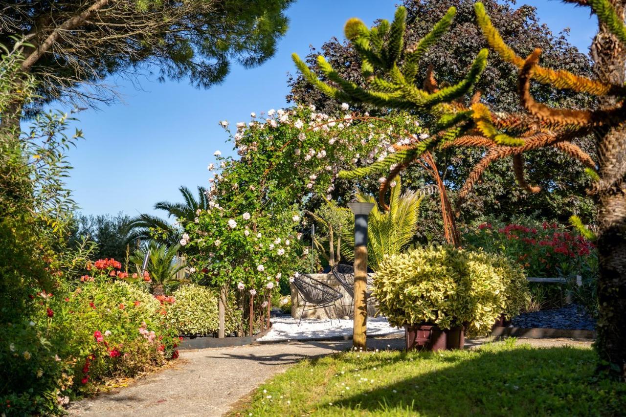 Le Bassin Du Tertre Bed & Breakfast Fronsac  ภายนอก รูปภาพ