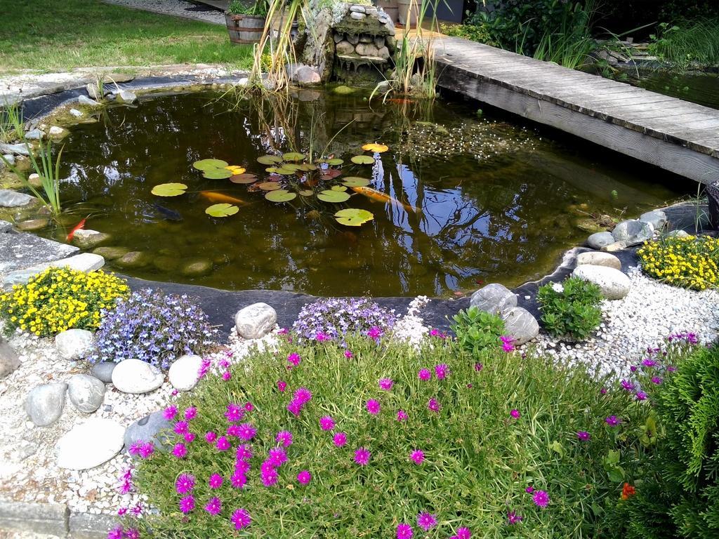 Le Bassin Du Tertre Bed & Breakfast Fronsac  ภายนอก รูปภาพ